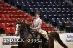 18BUCK_03954 proof