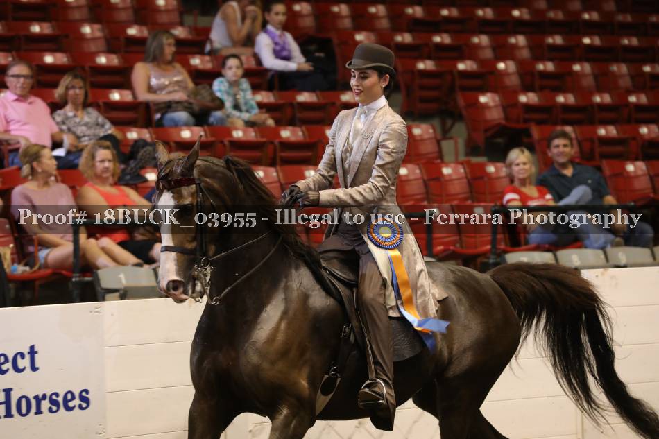 Proof 18BUCK_03955