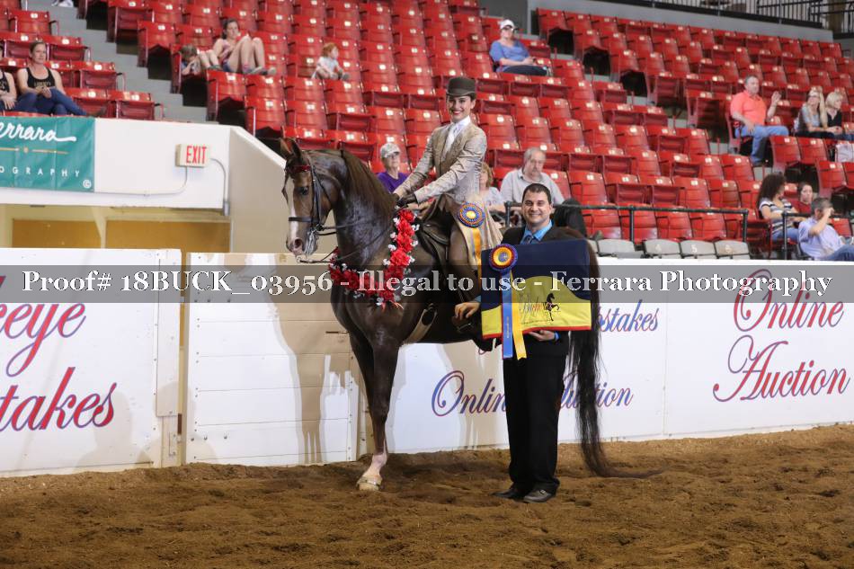 Proof 18BUCK_03956