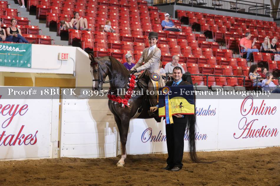 Proof 18BUCK_03957