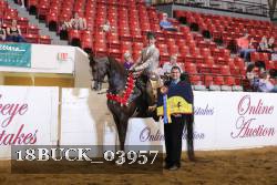 18BUCK_03957 proof