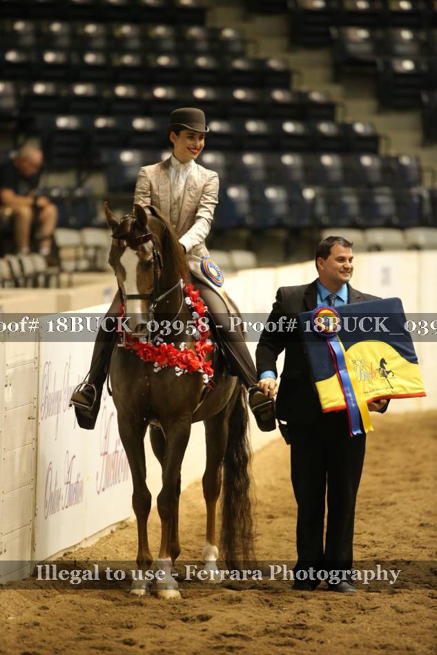 Proof 18BUCK_03958