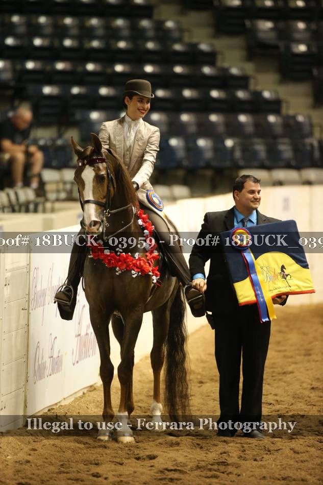 Proof 18BUCK_03959
