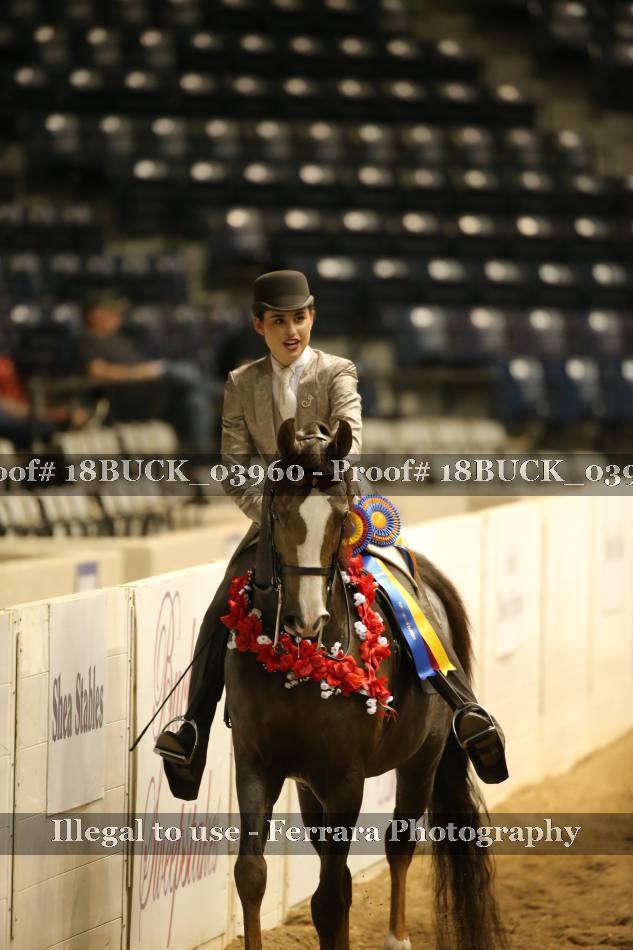 Proof 18BUCK_03960