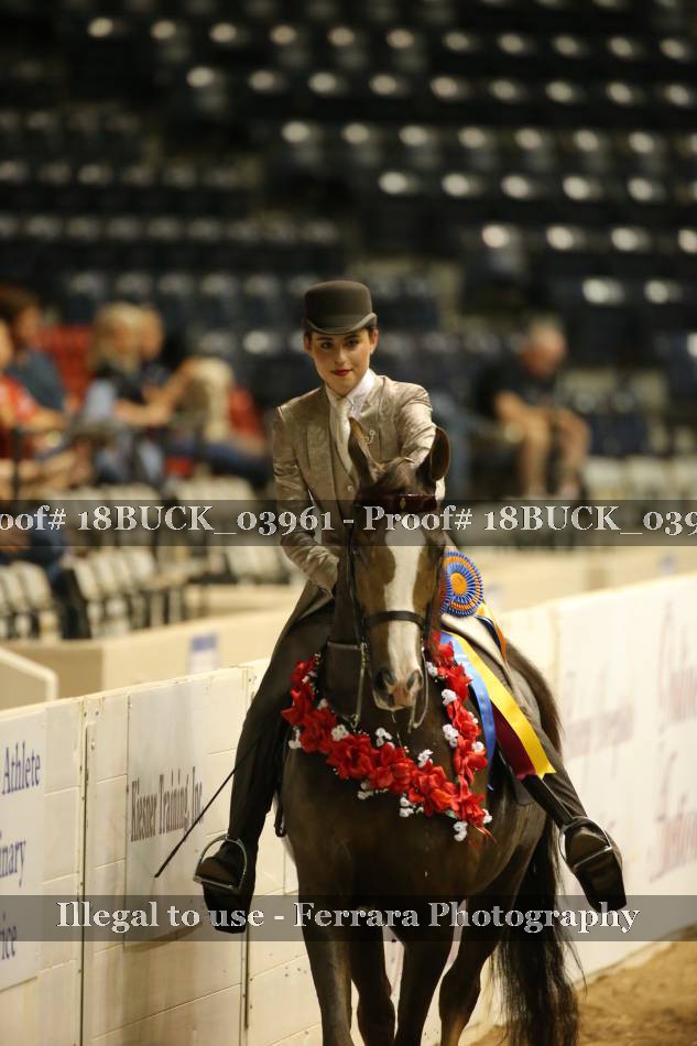 Proof 18BUCK_03961