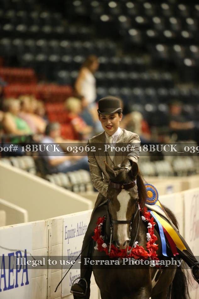 Proof 18BUCK_03962