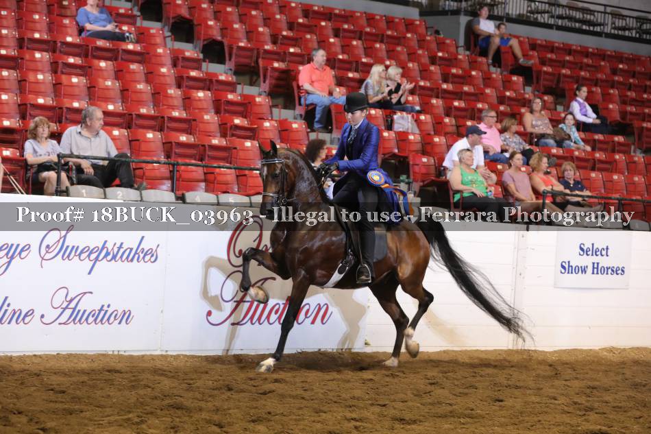 Proof 18BUCK_03963