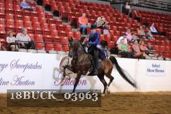 18BUCK_03963 proof
