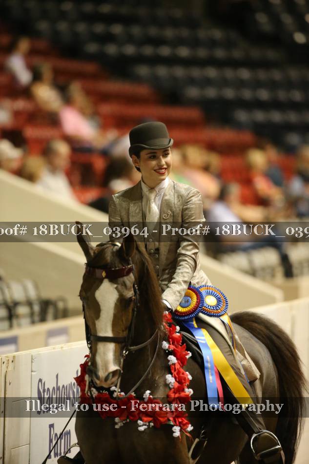 Proof 18BUCK_03964