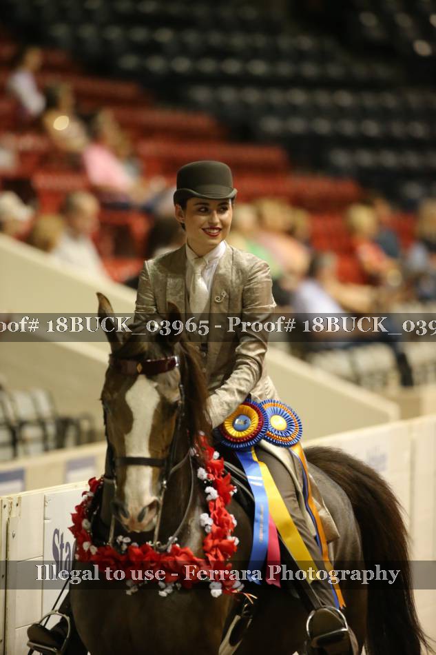 Proof 18BUCK_03965