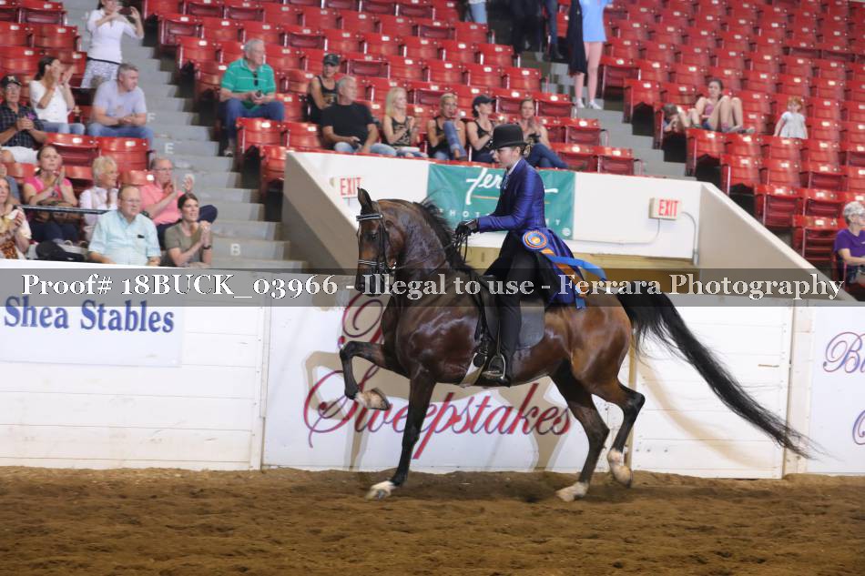 Proof 18BUCK_03966