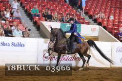 18BUCK_03966 proof