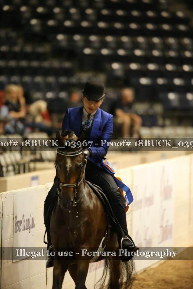 Proof 18BUCK_03967