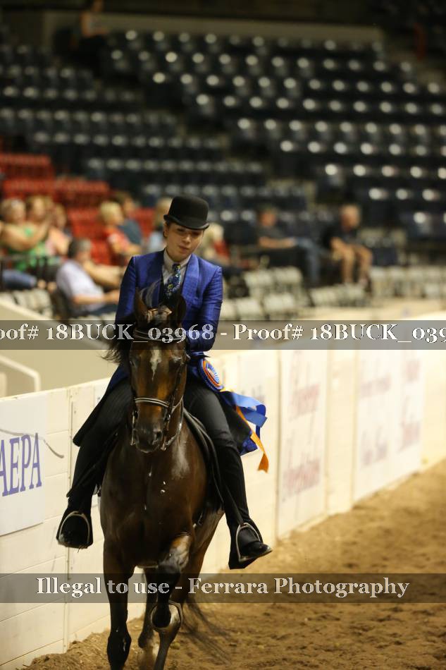 Proof 18BUCK_03968