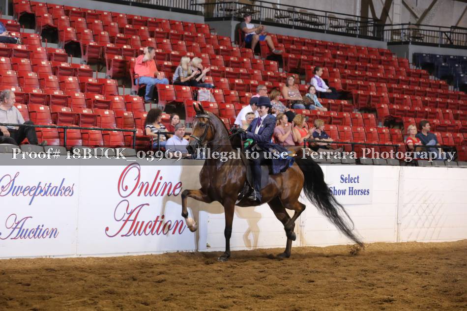 Proof 18BUCK_03969