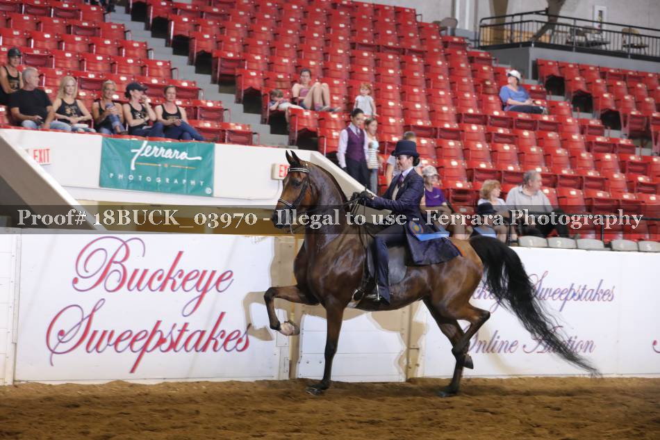 Proof 18BUCK_03970