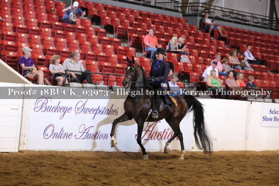 Proof 18BUCK_03973