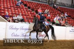 18BUCK_03973 proof