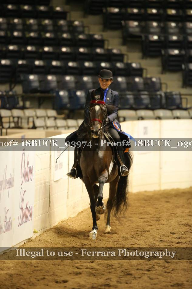 Proof 18BUCK_03974