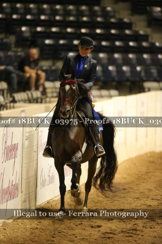 Proof 18BUCK_03975