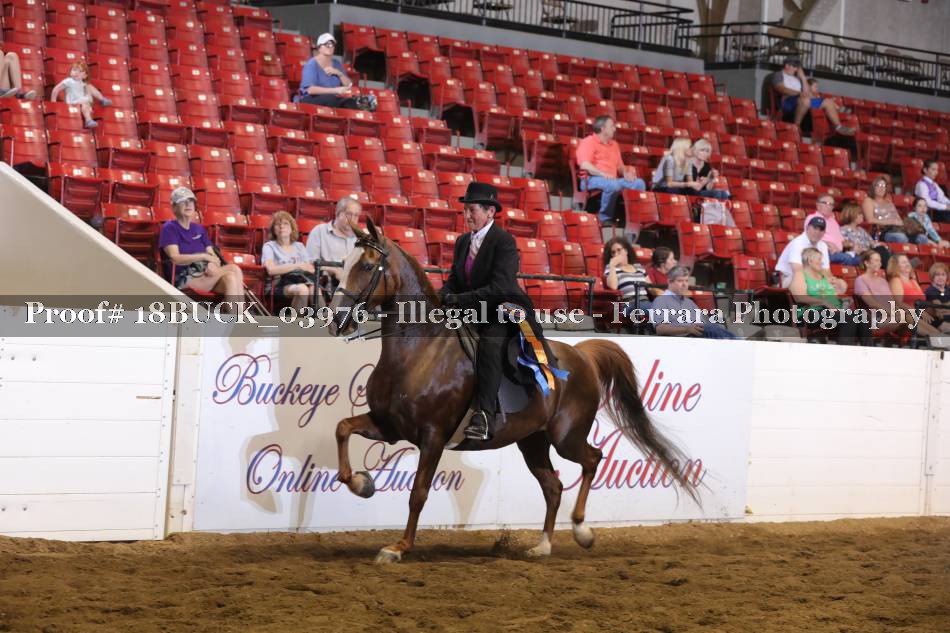 Proof 18BUCK_03976