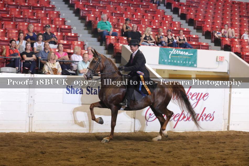 Proof 18BUCK_03977