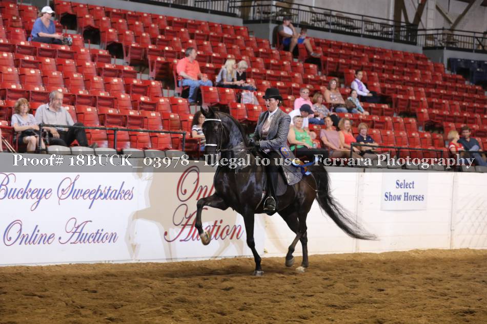 Proof 18BUCK_03978