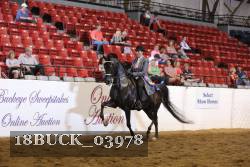 18BUCK_03978 proof