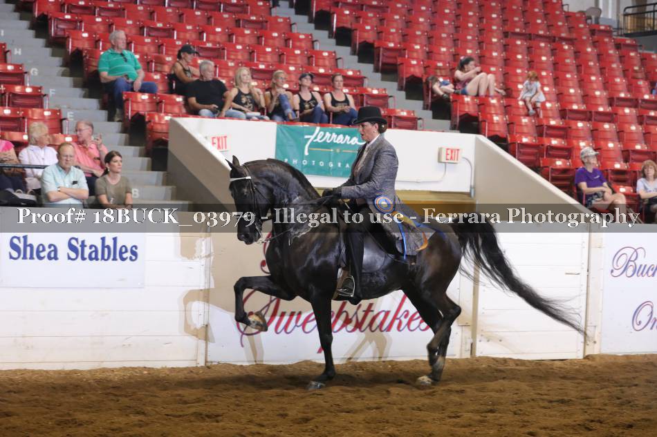Proof 18BUCK_03979