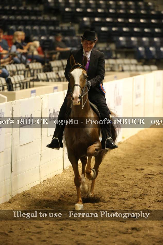 Proof 18BUCK_03980