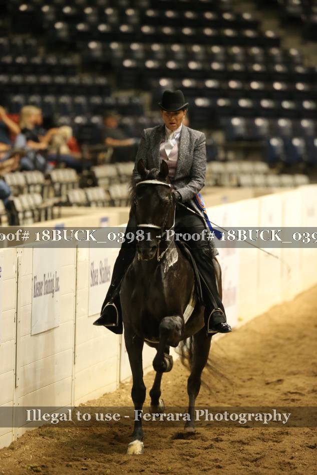 Proof 18BUCK_03981