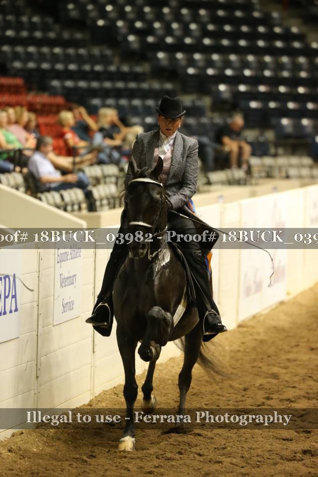 Proof 18BUCK_03982