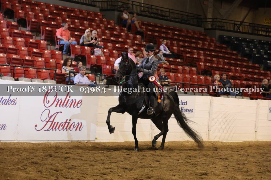 Proof 18BUCK_03983
