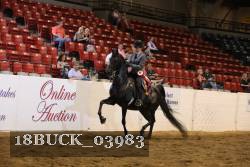 18BUCK_03983 proof