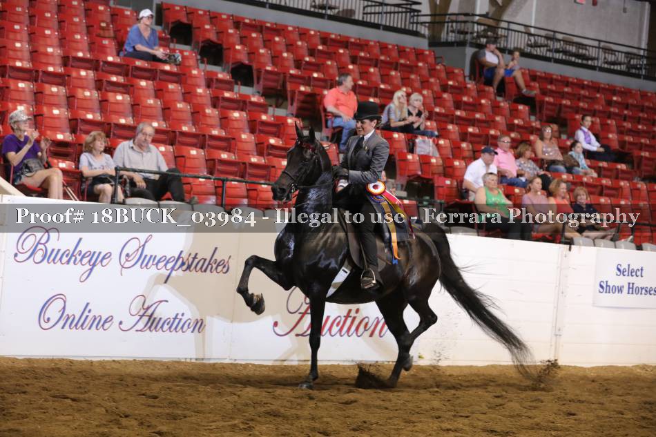 Proof 18BUCK_03984