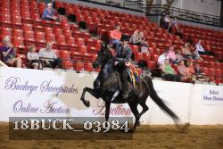 18BUCK_03984 proof