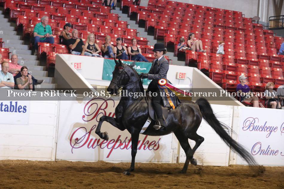 Proof 18BUCK_03985