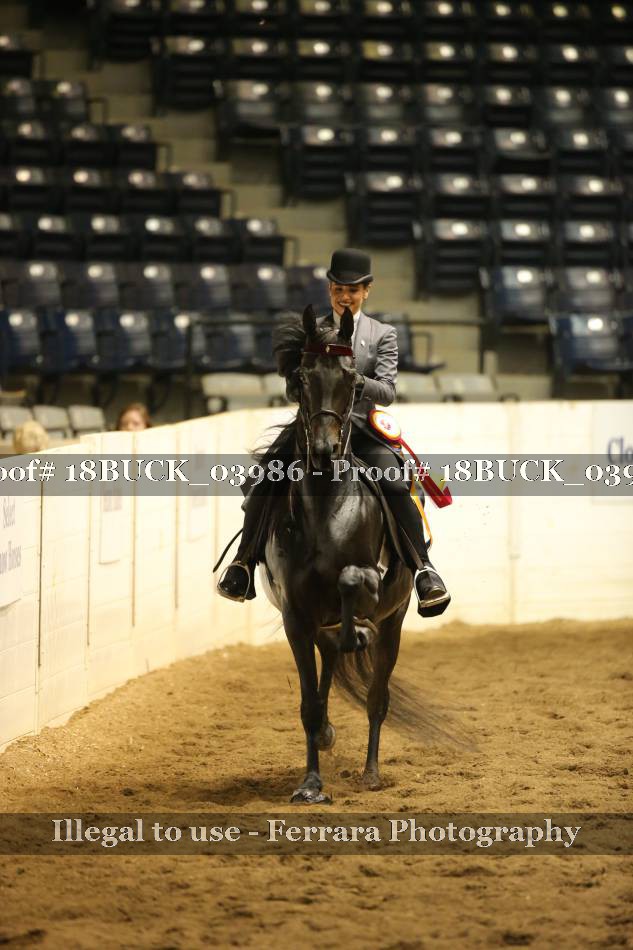 Proof 18BUCK_03986