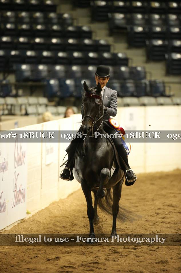 Proof 18BUCK_03987