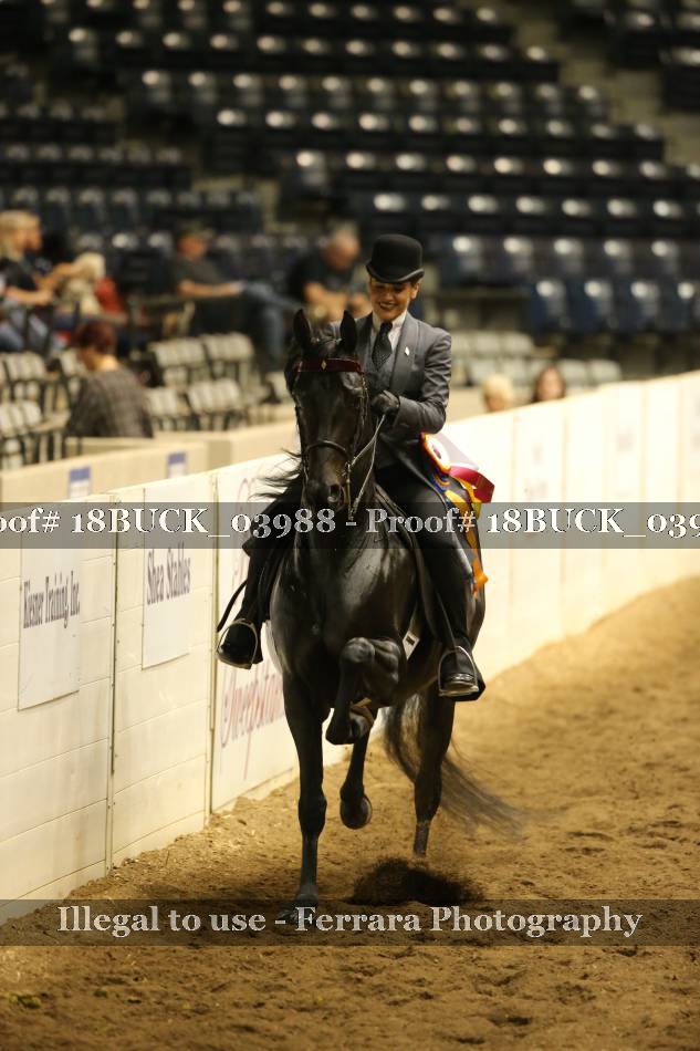 Proof 18BUCK_03988