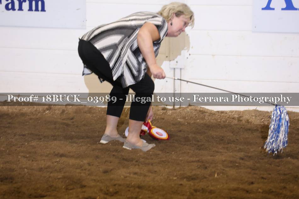 Proof 18BUCK_03989