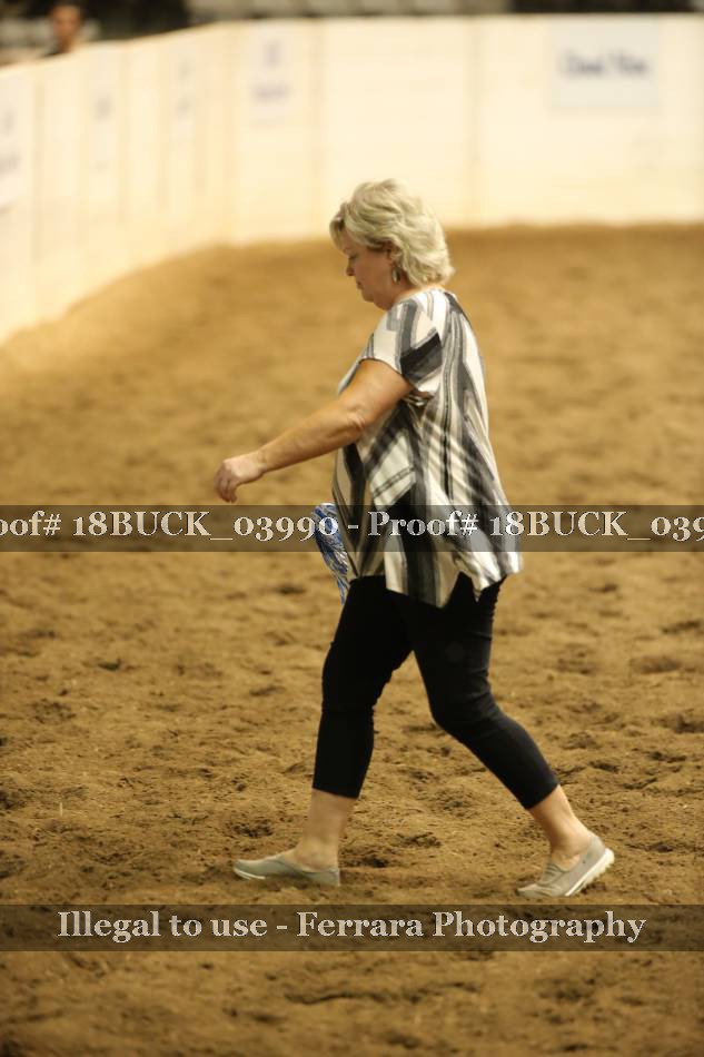 Proof 18BUCK_03990