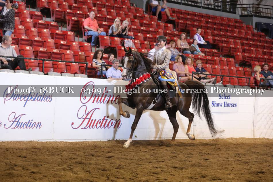 Proof 18BUCK_03991