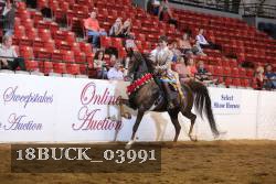 18BUCK_03991 proof