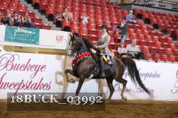 18BUCK_03992 proof