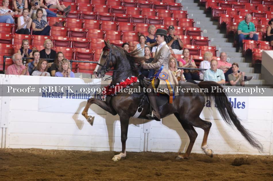 Proof 18BUCK_03993