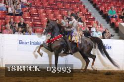 18BUCK_03993 proof
