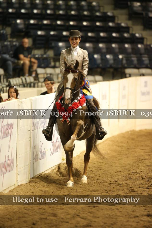 Proof 18BUCK_03994