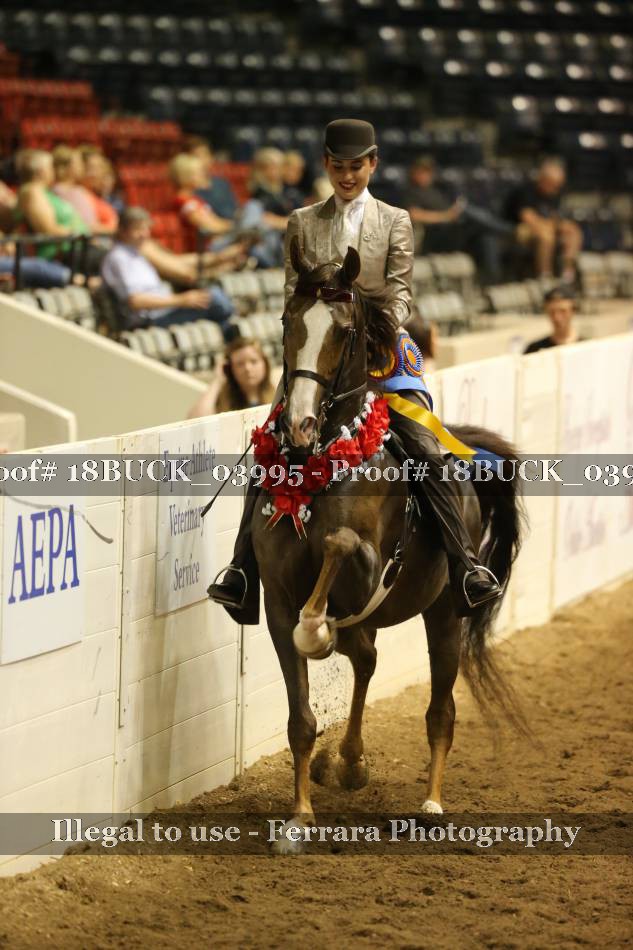 Proof 18BUCK_03995