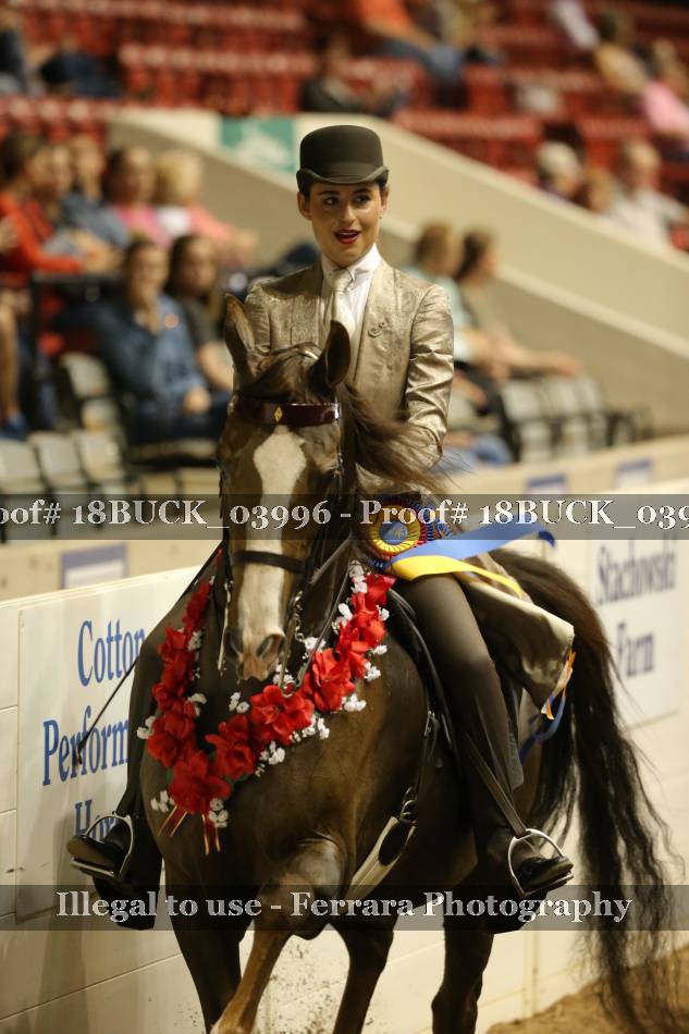 Proof 18BUCK_03996